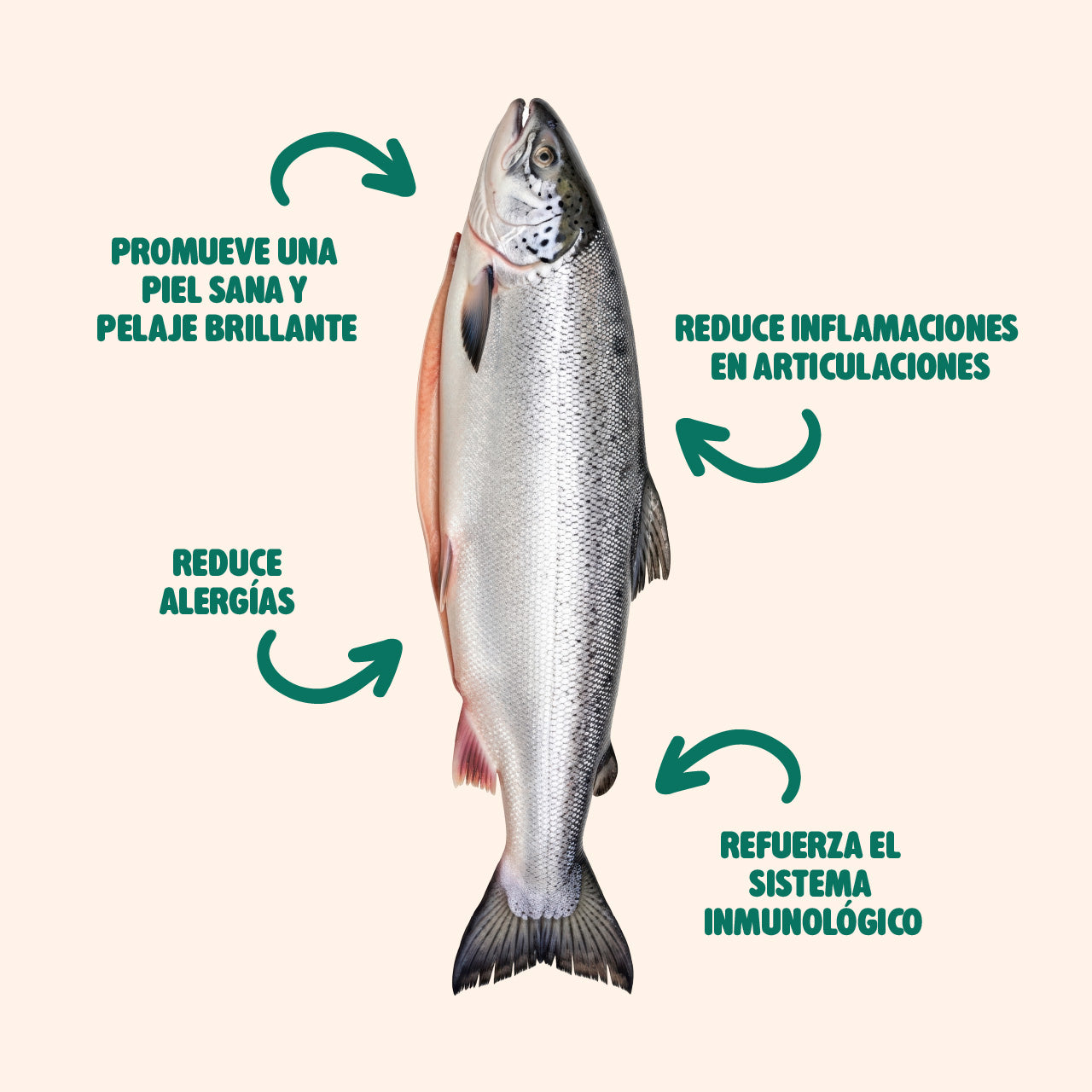 Aceite de Salmón