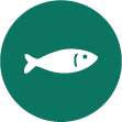 Alta concentración de Omega-3